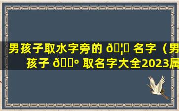 男孩子取水字旁的 🦄 名字（男孩子 🌺 取名字大全2023属兔）